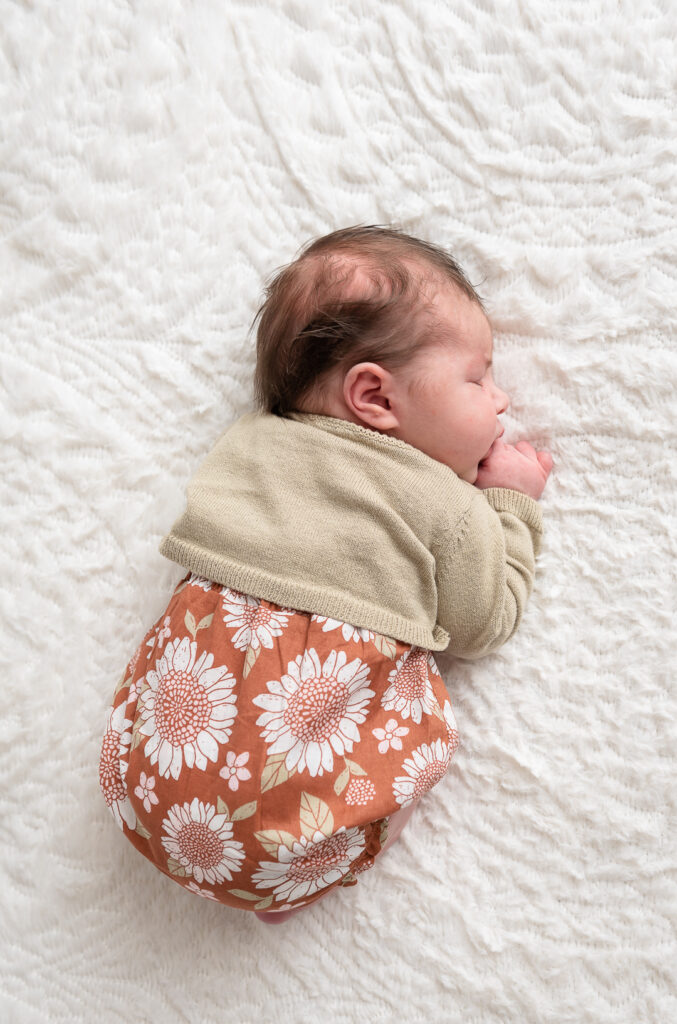 Studio newborn photographer