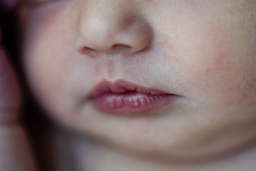 Twin Cities newborn photography