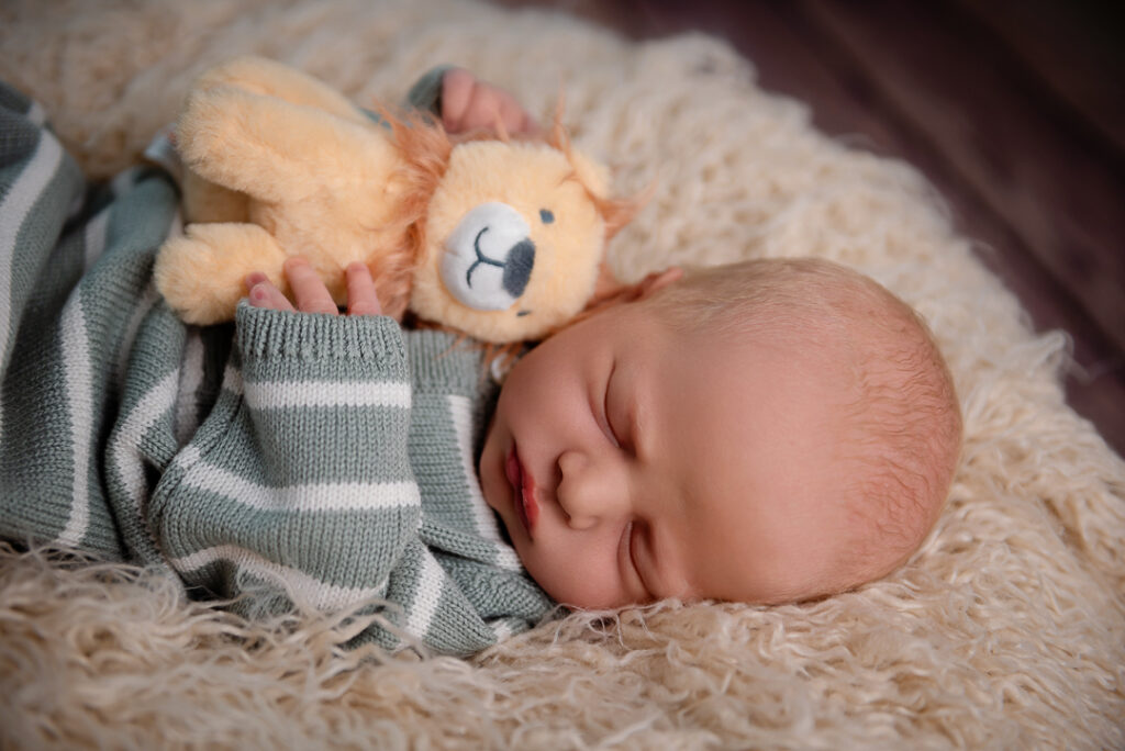 Hudson Wisconsin Newborn Photographer